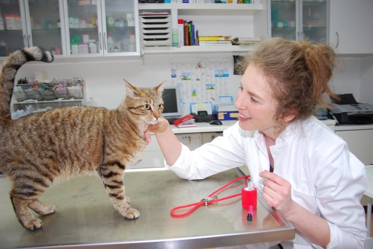 DSC_0049-768x514_blurred